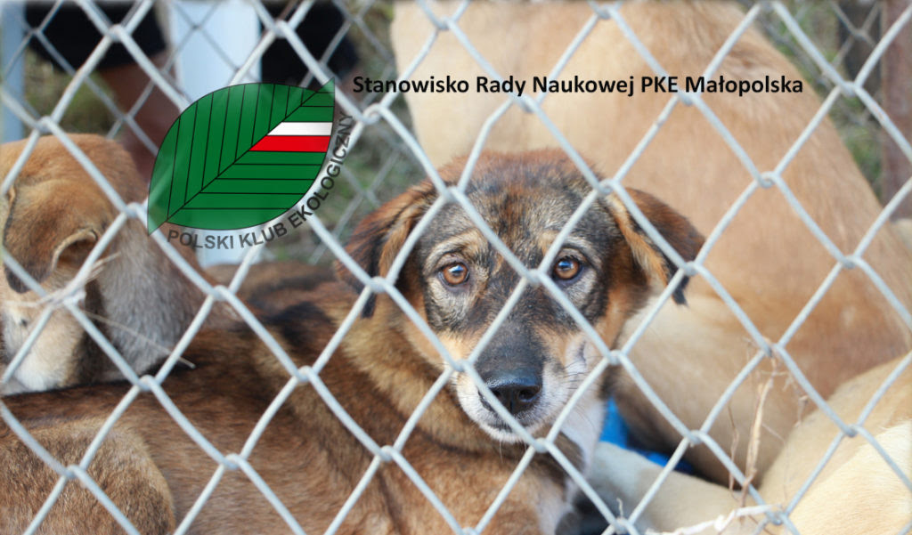 Stanowisko Rady Naukowej PKE Małopolska: kontrowersyjne rozwiązania w sprawie praw zwierząt
